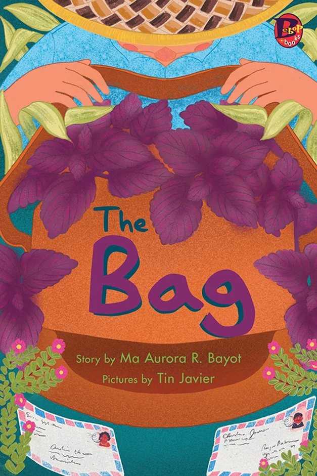 The Bag book cover
