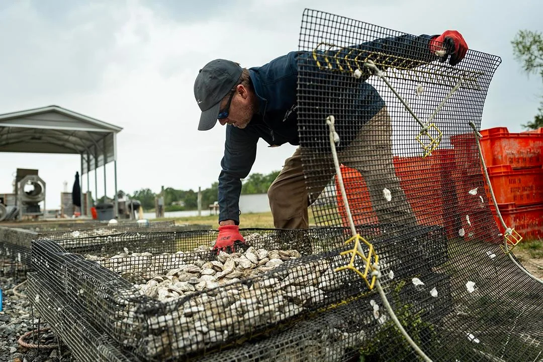Resorts Transforming Culinary Experiences with Local Flavors